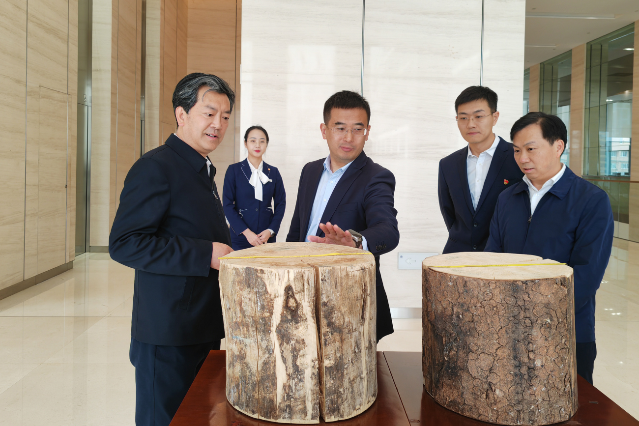 微信图片_2025-04-03_142326_435.png